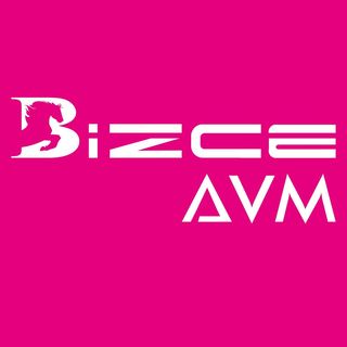 Bizce AVM logo