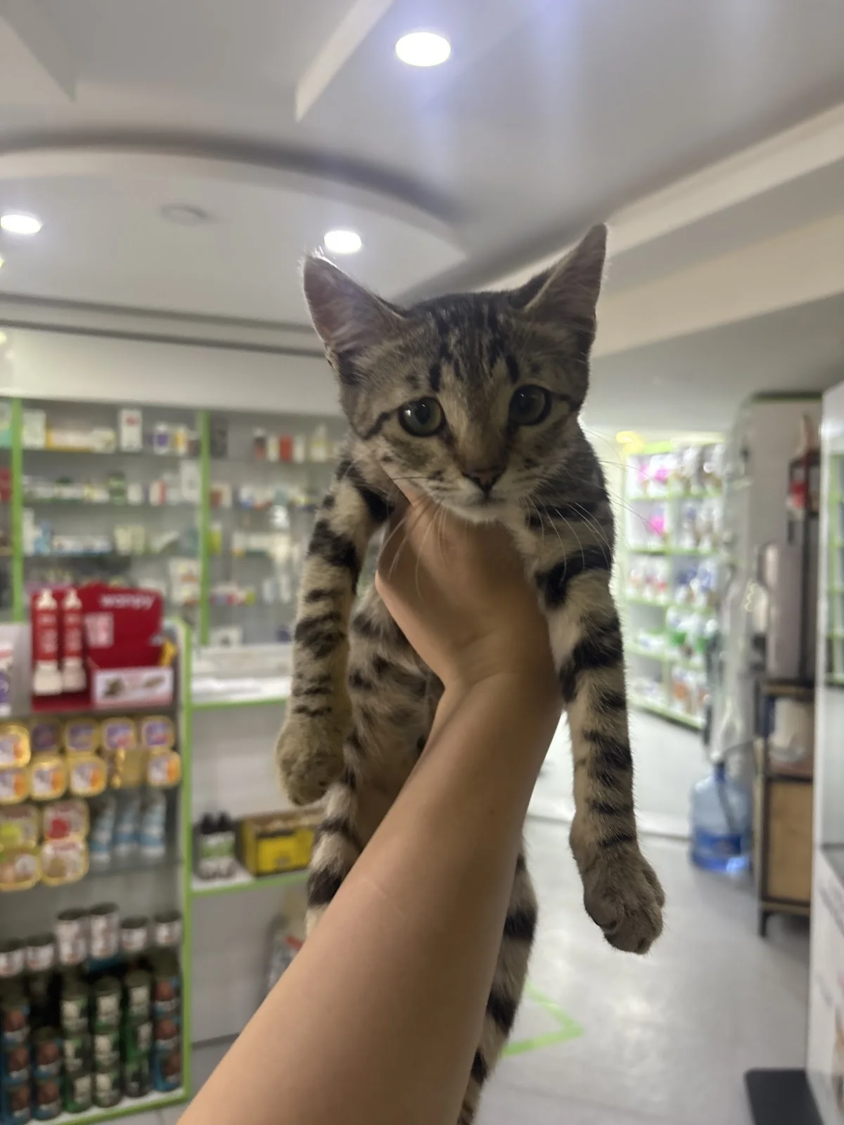 Özel Trakya Hayvan Hastanesi logo